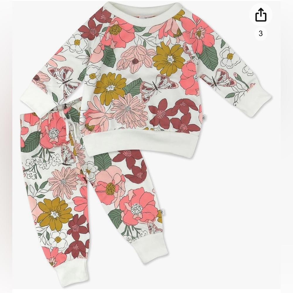 Honest Baby Organic Color Me Happy Sweatpants Set